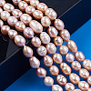 Natural Cultured Freshwater Pearl Beads Strands PEAR-N012-06H-6