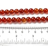 Natural Carnelian Beads Strands G-G390-8mm-03-3