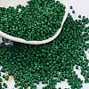 Baking Paint Glass Seed Beads X-SEED-S042-05B-66-1