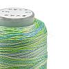 6-Ply Polyester Cord OCOR-L046-A13-2