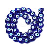 Handmade Evil Eye Lampwork Beads Strands LAMP-N029-010D-2