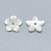 Natural White Shell Beads SSHEL-S260-006-2