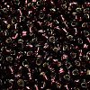 TOHO 6/0 Round Beads SEED-TR06-0026C-4