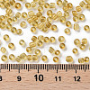 (Repacking Service Available) Glass Seed Beads SEED-C013-3mm-2B-3