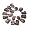 Natural Plum Blossom Tourmaline Beads Strands G-H078-A01-01-2
