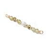 12Pcs 12 Styles Faceted Round Natural Mixed Stone Beaded Connector Charms PALLOY-JF03557-4
