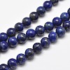 Natural Lapis Lazuli Round Bead Strands X-G-E262-01-12mm-1