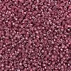 MIYUKI Delica Beads X-SEED-J020-DB0428-3