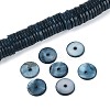 Natural Freshwater Shell Beads Strands SHEL-N037-03A-02-1