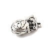 Tibetan Style Alloy Pendants FIND-NH0001-17AS-02-2