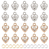 Alloy Charms ZIRC-PH0001-06-1