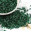 Glass Seed Beads SEED-S042-04B-28-1