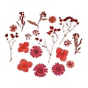 3D Dried Flowers Nail Art Decorations MRMJ-R078-07-1