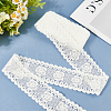 5 Yards Flat Cotton Lace Ribbon OCOR-GF0004-71C-02-3