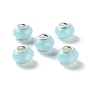 Pearlized Resin European Beads RESI-M001-01-2