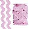 10 Yards Polyester Lace Ribbon OCOR-GF0006-01-1