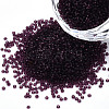 15/0 Transparent Czech Glass Seed Beads SEED-N004-004-19-1