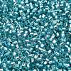 Glass Seed Beads SEED-S042-04B-23-3