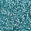 Glass Seed Beads SEED-S042-04B-23-3