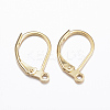 316L Surgical Stainless Steel Leverback Earring Findings STAS-E194-03G-1
