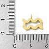 Ion Plating(IP) 304 Stainless Steel Micro Pave Cubic Zirconia Charms STAS-Z107-09G-01-3