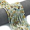 Natural Flower Amazonite Beads Strands G-A260-A32-01-1