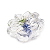 Transparent Resin Cabochons RE-CBA7537-01B-2