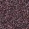 TOHO Round Seed Beads X-SEED-TR11-0201-2