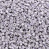 MIYUKI Delica Beads X-SEED-J020-DB0429-3