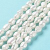 Natural Keshi Pearl Beads Strands PEAR-Z002-17-2