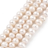 Natural Cultured Freshwater Pearl Beads Strands PEAR-C003-12F-2