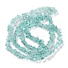 Spray Painted Transparent Glass Beads Strands X-GLAA-P060-01B-04-2