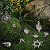 100Pcs 10 Styles Tibetan Style Alloy Pendants TIBEP-CJ0001-96-6