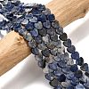 Natural Sodalite Beads Strands G-A272-A01-31-2