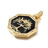 Rack Plating Brass Micro Pave Cubic Zirconia Pendants ZIRC-F142-20G-02-2