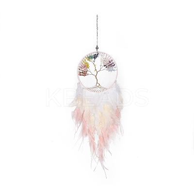 Iron Woven Web/Net with Feather Pendant Decorations LS-AJEW-B017-24-1