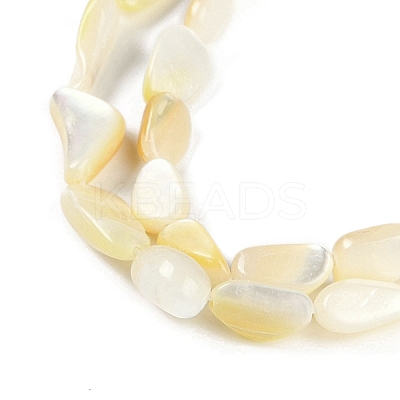 Natural Trochus Shell Beads Strands BSHE-H109-05-1