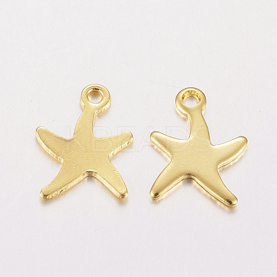 304 Stainless Steel Charms STAS-F162-40G-1
