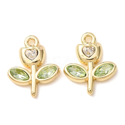 Alloy with Rhinestone Pendants AL-CBA7256-01G-01-1