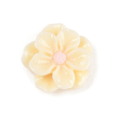 Opaque Resin Cabochons CRES-D283-01C-03-1