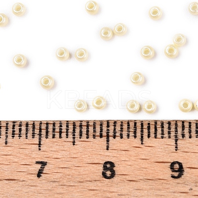 11/0 FGB Grade A Baking Paint Glass Seed Beads X-SEED-N001-A-1034-1