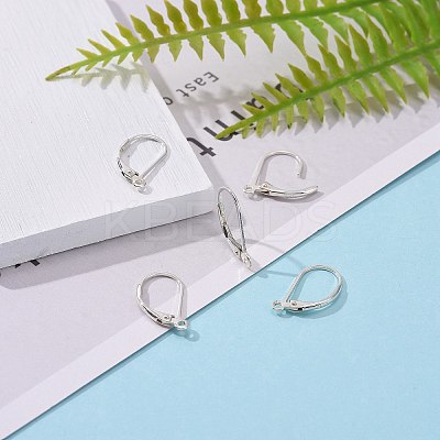 925 Sterling Silver Leverback Earring Findings X-STER-G027-22S-1