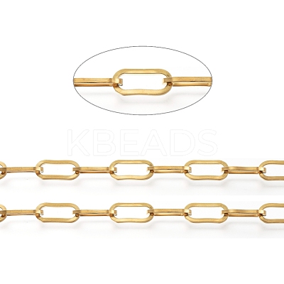 3.28 Feet Ion Plating(IP) 304 Stainless Steel Paperclip Chains X-CHS-D030-02G-1