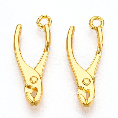 Alloy Pendants X1-PALLOY-N176-120G-1