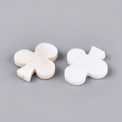 Natural Freshwater Shell Beads BSHE-T014-45-1