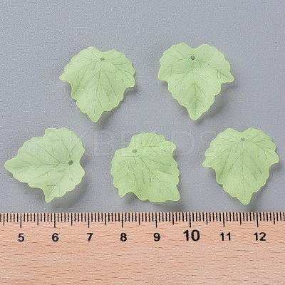 Transparent Frosted Acrylic Pendants X-PAF002Y-18-1