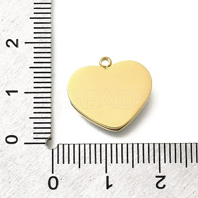 304 Stainless Steel Enamel Pendants LS-STAS-Q347-01G-A-1