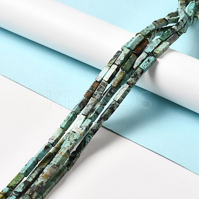 Natural African Turquoise(Jasper) Beads Strands G-F729-01-1