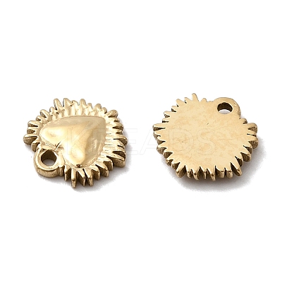 304 Stainless Steel Charms X-STAS-A127-02G-1