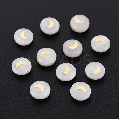 Natural Freshwater Shell Beads SHEL-N003-22-06-1